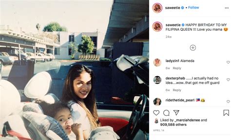 vixen mom|Saweetie Reminds Us That Her Mom Was A Video Vixen